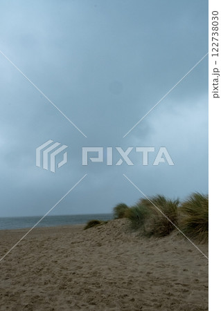 A stunning stormy beach landscape that features beautiful dune grass along the shore 122738030