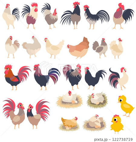 Farm Animals. Cute farm. Set of roosters and hens. Collection of farm animals. Baby flat vector illustration. Isolated Farm Animals. Cute farm. Set of roosters and hens. Collection of farm animals. Baby flat vector illustration. Isolated 122738719