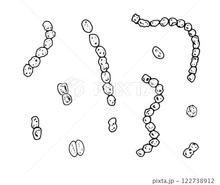 Vector set of hand drawn streptococci bacteria in black and white. Medical line art illustration depicting microbial infection. Ideal for disease prevention designs 122738912