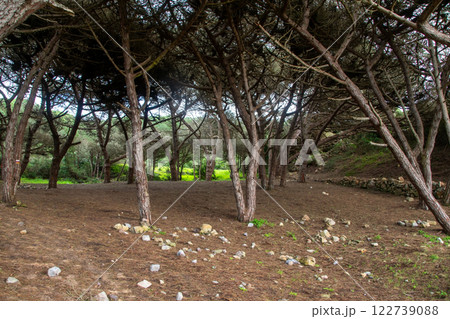 road sign Lily Valley Path in Sintra 122739088
