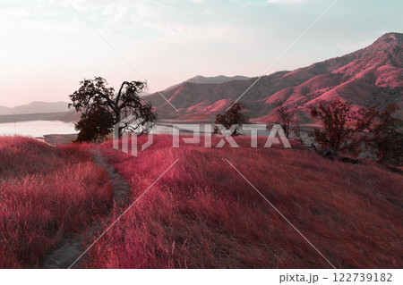 California mountains background, view of natural landscape, US national parks wildlife California mountains background, view of natural landscape, US national parks wildlife 122739182