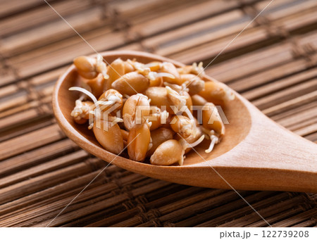 Close-Up of Wheat Sprouts in a Wooden Spoon 122739208