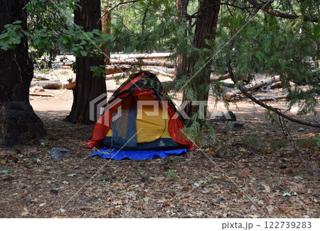 Tourist tent in the forest of USA national park Tourist tent in the forest of USA national park 122739283