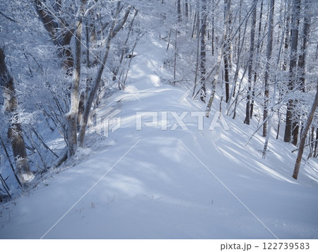 雪に覆われた瘦せ尾根（202501110959） 122739583