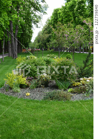 Kharkov, Ukraine, 14 May 2024. A lush, well-maintained garden with a variety of plants and shrubs. Serene Garden Path Surrounded by Nature 122739840