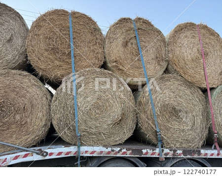 Trailer loaded with stacked hay bales. Food for herbivores. 122740177