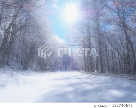 正午の雪の道（202501111204） 122740678