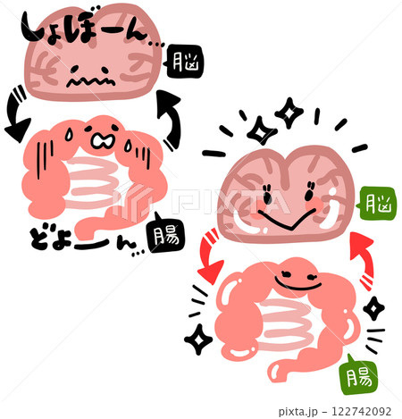 脳と腸の関係 122742092