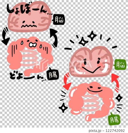 脳と腸の関係のイラスト素材 [122742092] - PIXTA