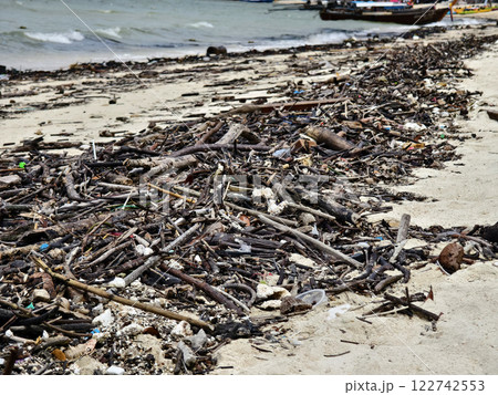 A beach heavily littered with wood and plastic A beach heavily littered with wood and plastic 122742553