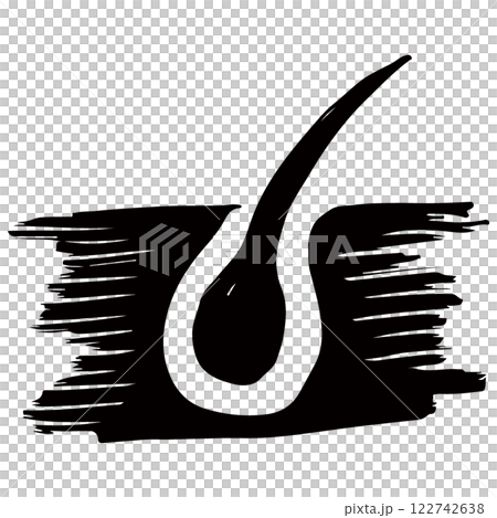 シンプルな毛根のイラスト素材 ベクター シンプルな毛根のイラスト素材 ベクター 122742638