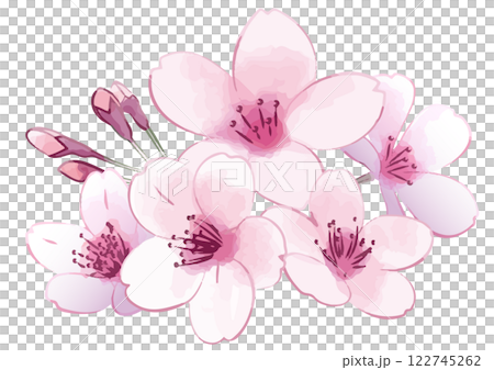 櫻花花環。手繪花朵。 櫻花花環。手繪花朵。 122745262