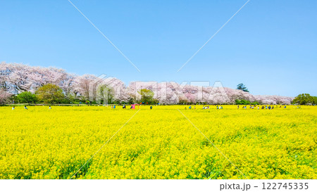 権現堂桜堤 122745335