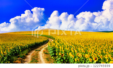 アンダルシア地方の美しいひまわり畑の絶景 アンダルシア地方の美しいひまわり畑の絶景 122745939