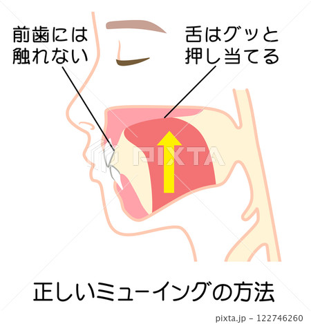 正しいミューイングの方法　適正な舌の位置 122746260