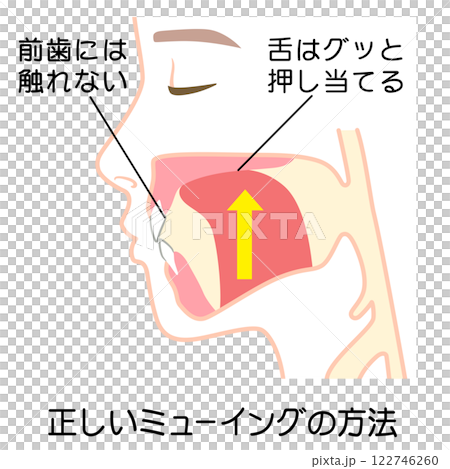 正しいミューイングの方法　適正な舌の位置 122746260