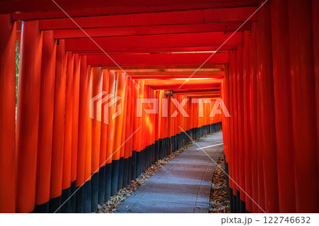 Torii gate archway landmark of Fushimi Inari shrine, Kyoto Torii gate archway landmark of Fushimi Inari shrine, Kyoto 122746632