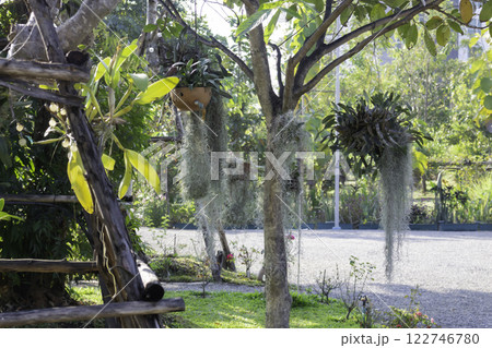 Coffee cafe shop or tropical cafeteria concept exterior 122746780