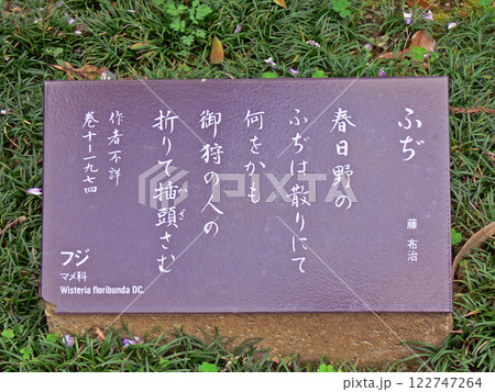 萬葉植物園 歌碑 萬葉植物園 歌碑 122747264