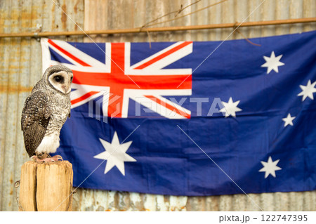 オーストラリア国旗を背景に誇らしげなフクロウ 122747395