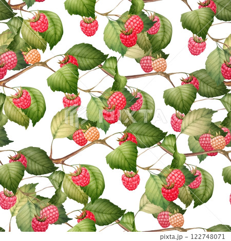 Raspberry seamless pattern with berries and leaves, hand-drawn botanical illustration. 122748071