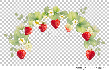 Illustration of strawberry drawn in watercolor 122748146