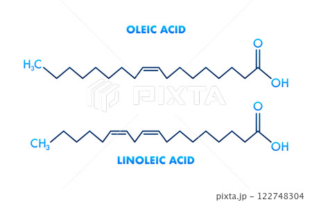 Oleic Acid and Linoleic Acid Structural Chemical Formulas Showing Differences Oleic Acid and Linoleic Acid Structural Chemical Formulas Showing Differences 122748304