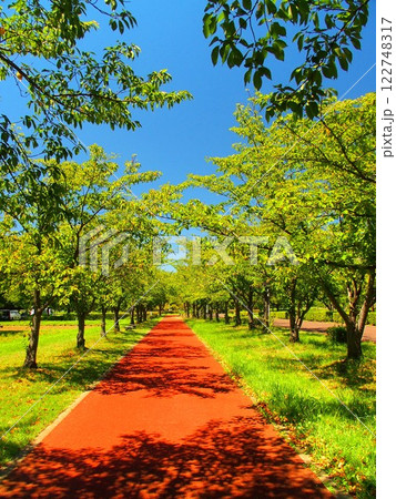 誰もいない夏の赤い遊歩道のあるみさと公園風景 122748317