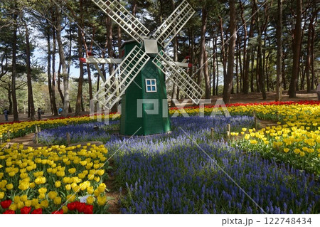 国営ひたち海浜公園のチューリップと風車 国営ひたち海浜公園のチューリップと風車 122748434