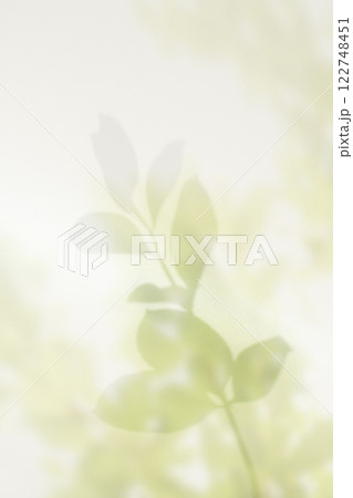 Dreamy plant shadow effect, cover image 122748451