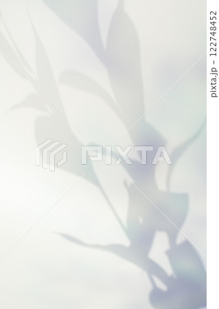 Dreamy plant shadow effect, cover image Dreamy plant shadow effect, cover image 122748452