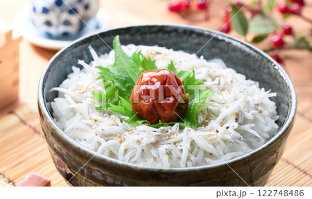 梅干しをのせた釜揚げしらす丼 122748486