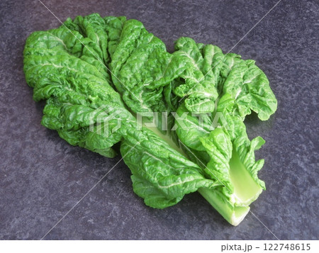 黒背景の博多かつを菜 黒背景の博多かつを菜 122748615