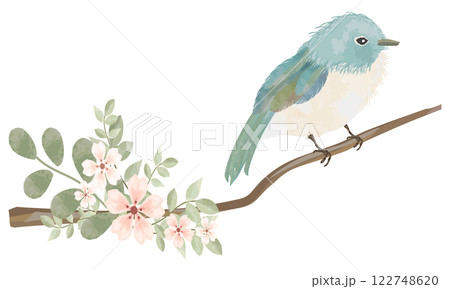 水彩で描いた枝にとまる青い鳥 水彩で描いた枝にとまる青い鳥 122748620