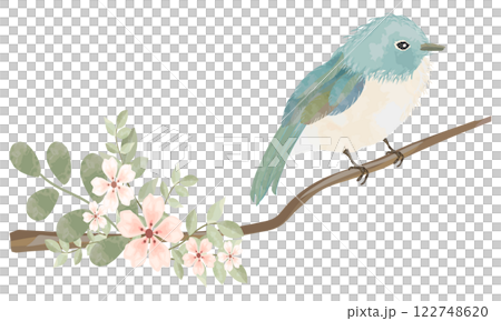 水彩で描いた枝にとまる青い鳥 水彩で描いた枝にとまる青い鳥 122748620