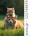 猫の親子 122748870