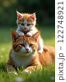 子猫と親猫 122748921