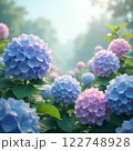 アジサイ 122748928