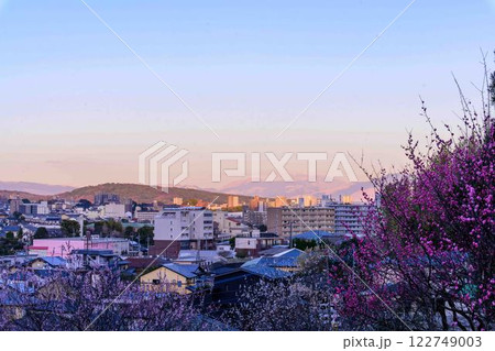 夕焼け光芒 阿蘇山の山並みを背景に都市景観と梅園公園風景「可憐な梅が咲き誇る百梅園」熊本市西区島崎 夕焼け光芒 阿蘇山の山並みを背景に都市景観と梅園公園風景「可憐な梅が咲き誇る百梅園」熊本市西区島崎 122749003