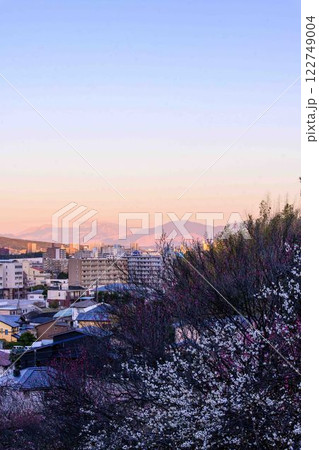 夕焼け光芒　阿蘇山の山並みを背景に都市景観と梅園公園風景「可憐な梅が咲き誇る百梅園」熊本市西区島崎 122749004