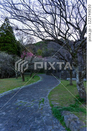 遊歩道から観える梅園公園風景「可憐な梅が咲き誇る百梅園」熊本市西区島崎 遊歩道から観える梅園公園風景「可憐な梅が咲き誇る百梅園」熊本市西区島崎 122749030