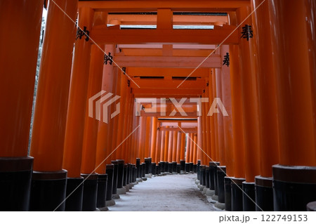 大雪の日の伏見稲荷大社 122749153