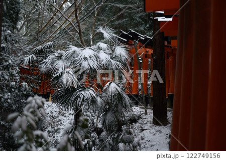 大雪の日の伏見稲荷大社 大雪の日の伏見稲荷大社 122749156