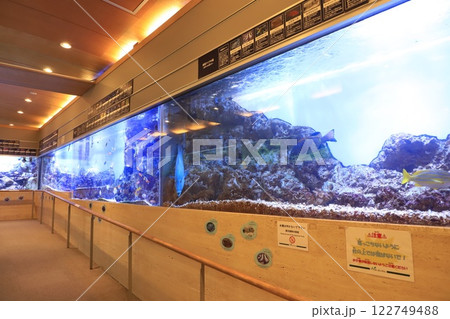 板橋区立熱帯環境植物館　ミニ水族館 122749488