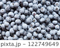たくさん収穫したブルーベリー 122749649