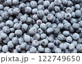 たくさんのブルーベリー 122749650