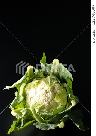 カリフラワーを黒背景で撮影 122749907