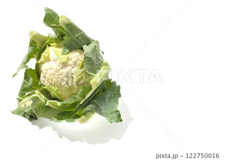 カリフラワーを白背景で撮影 122750016