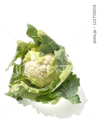 カリフラワーを白背景で撮影 122750018