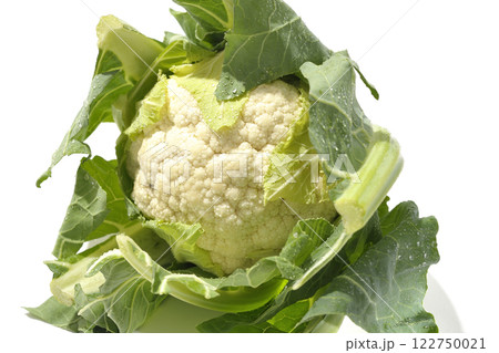 カリフラワーを白背景で撮影 122750021